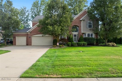 Beach Home Sale Pending in Avon, Ohio