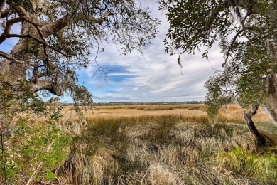 Beach Acreage For Sale in Townsend, Georgia