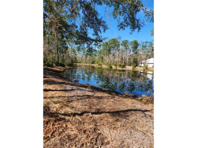 Beach Lot For Sale in Waverly, Georgia
