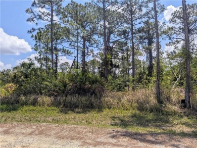 Beach Lot For Sale in Lehigh Acres, Florida