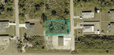Beach Lot For Sale in Lehigh Acres, Florida