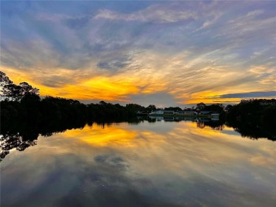 Beach Home For Sale in St. Petersburg, Florida