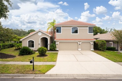 Beach Home For Sale in Oldsmar, Florida