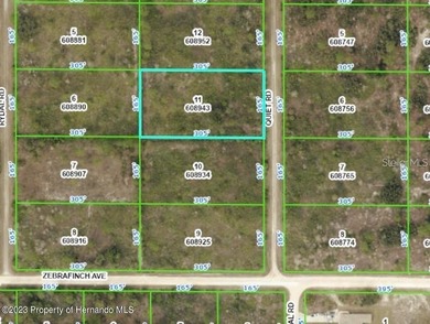 Beach Lot For Sale in Weeki Wachee, Florida