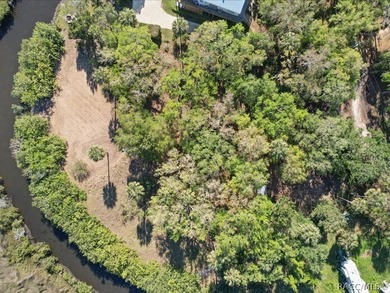 Beach Lot For Sale in Crystal River, Florida