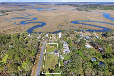 Beach Home For Sale in Waverly, Georgia