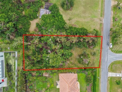 Beach Lot For Sale in Osprey, Florida
