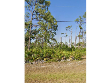 Beach Lot For Sale in Rotonda West, Florida