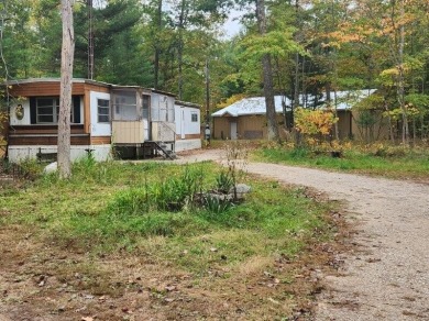 Beach Home For Sale in Free Soil, Michigan