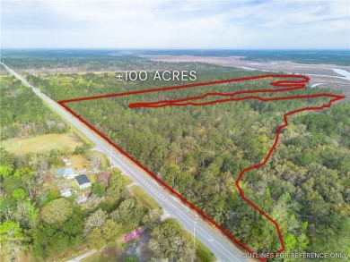 Beach Acreage Sale Pending in Waverly, Georgia