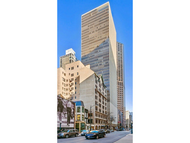 Beach Condo For Sale in Chicago, Illinois