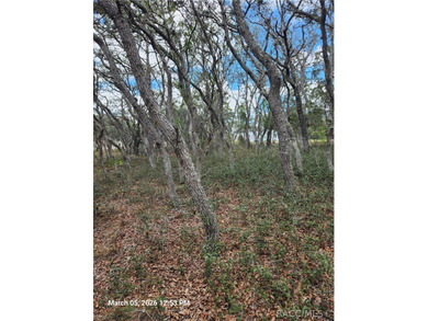 Beach Lot For Sale in Homosassa, Florida