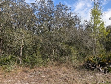Beach Lot For Sale in Homosassa, Florida