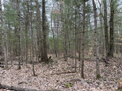 Beach Acreage For Sale in Free Soil, Michigan