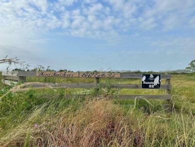 Beach Acreage For Sale in Anahuac, Texas