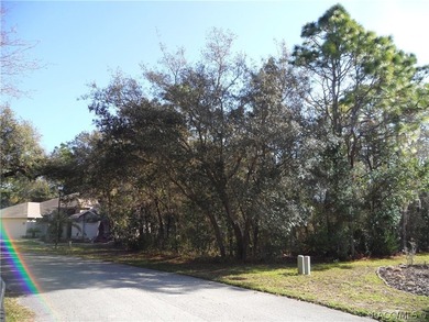 Beach Lot Sale Pending in Homosassa, Florida