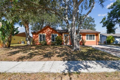 Beach Home For Sale in Oldsmar, Florida