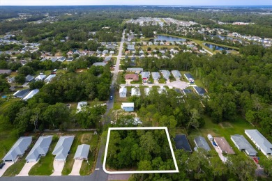 Beach Lot For Sale in St Augustine, Florida