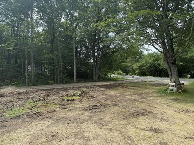 Beach Lot For Sale in Orland, Maine