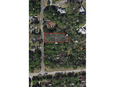 Beach Lot For Sale in Crystal River, Florida