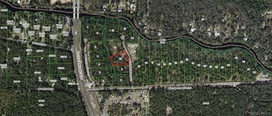 Beach Lot For Sale in Inglis, Florida