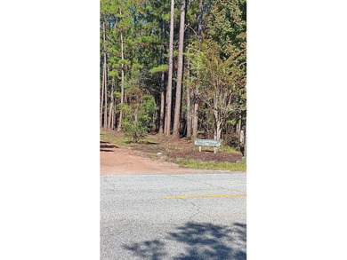 Beach Lot For Sale in Townsend, Georgia