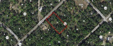 Beach Lot For Sale in Crystal River, Florida