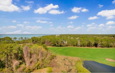 Beach Condo For Sale in Miramar Beach, Florida