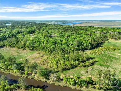 Beach Acreage For Sale in Richmond Hill, Georgia