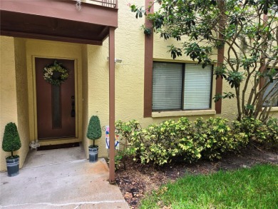 Beach Condo For Sale in Safety Harbor, Florida