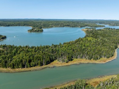 Beach Acreage For Sale in Jonesboro, Maine