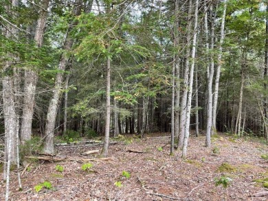 Beach Lot For Sale in Bristol, Maine