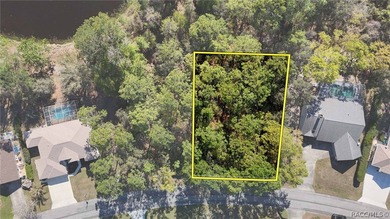 Beach Lot For Sale in Homosassa, Florida