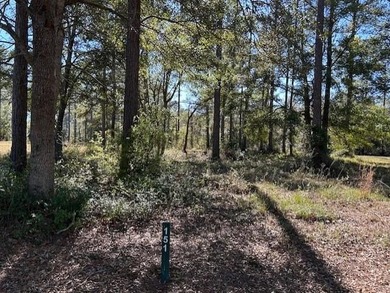 Beach Lot For Sale in Shellman Bluff, Georgia