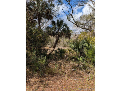 Beach Acreage For Sale in Inglis, Florida