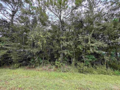 Beach Lot For Sale in Lillian, Alabama