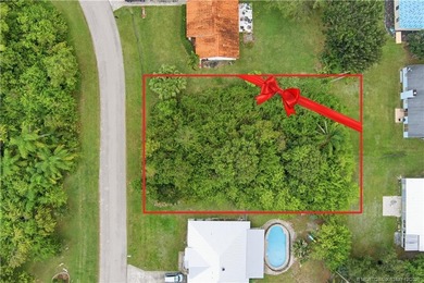 Beach Lot Sale Pending in Port Saint Lucie, Florida