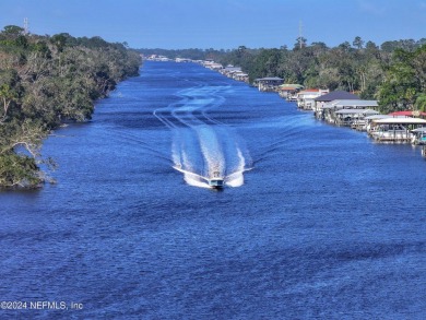 Beach Lot For Sale in Ponte Vedra Beach, Florida