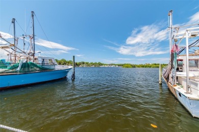 Beach Commercial For Sale in Port Richey, Florida