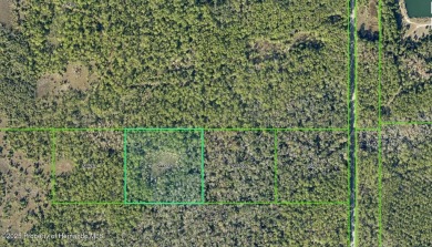 Beach Acreage For Sale in Hernando Beach, Florida