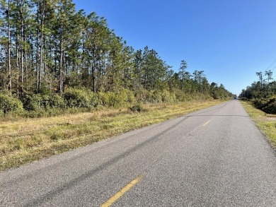 Beach Acreage For Sale in Theodore, Alabama