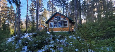 Beach Home For Sale in Steuben, Maine