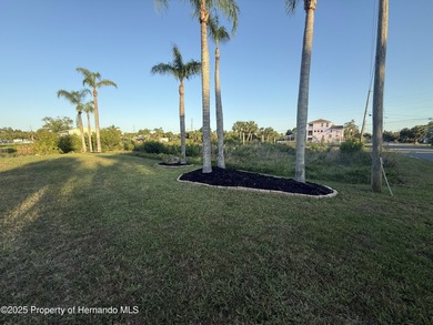 Beach Lot For Sale in Hernando Beach, Florida