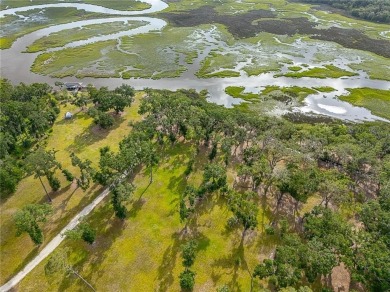 Beach Acreage For Sale in Saint Simons, Georgia