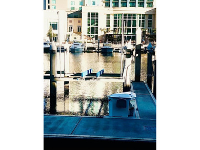 Beach Lot For Sale in Tampa, Florida