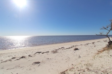 Beach Lot Off Market in Bald Point, Florida