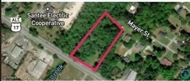 Beach Acreage For Sale in Georgetown, South Carolina