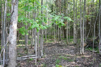 Beach Acreage For Sale in Alanson, Michigan