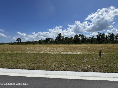 Beach Lot For Sale in Titusville, Florida
