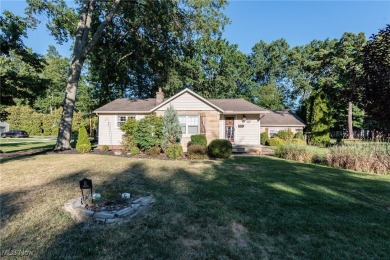 Beach Home For Sale in Avon Lake, Ohio